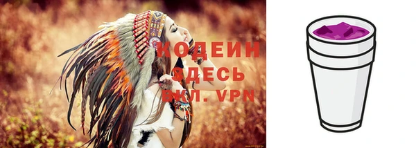 молекула духа Богданович