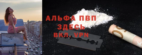 спиды Богородск