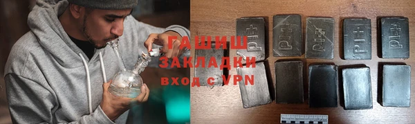 молекула духа Богданович