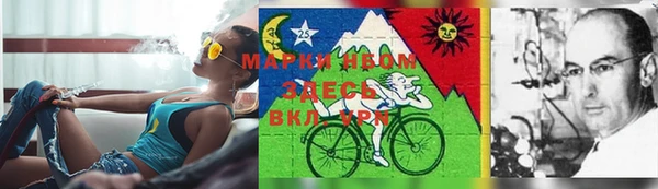 молекула духа Богданович