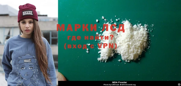 молекула духа Богданович
