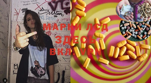 молекула духа Богданович