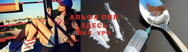 молекула духа Богданович