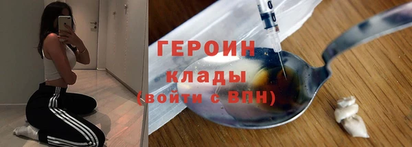 молекула духа Богданович