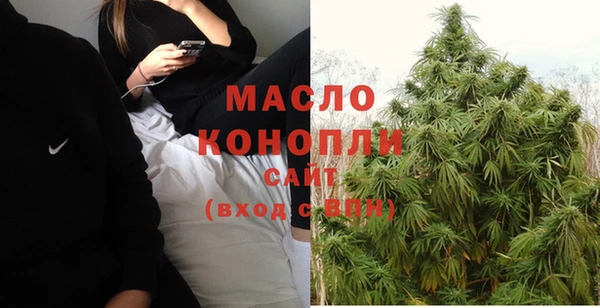 молекула духа Богданович