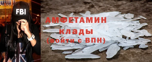 молекула духа Богданович
