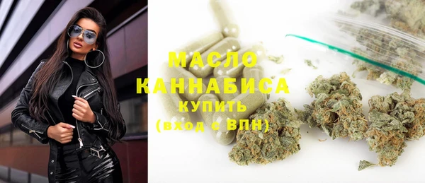 молекула духа Богданович