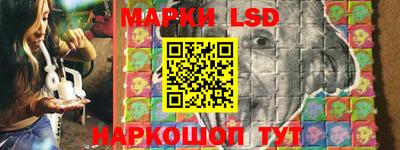 МДПВ Волгодонск