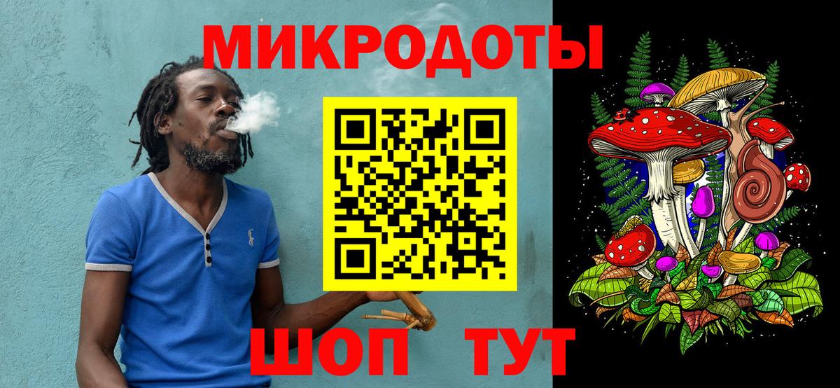 как найти   Галлюциногенные грибы Psilocybine cubensis  Вход с VPN  Гудермес 