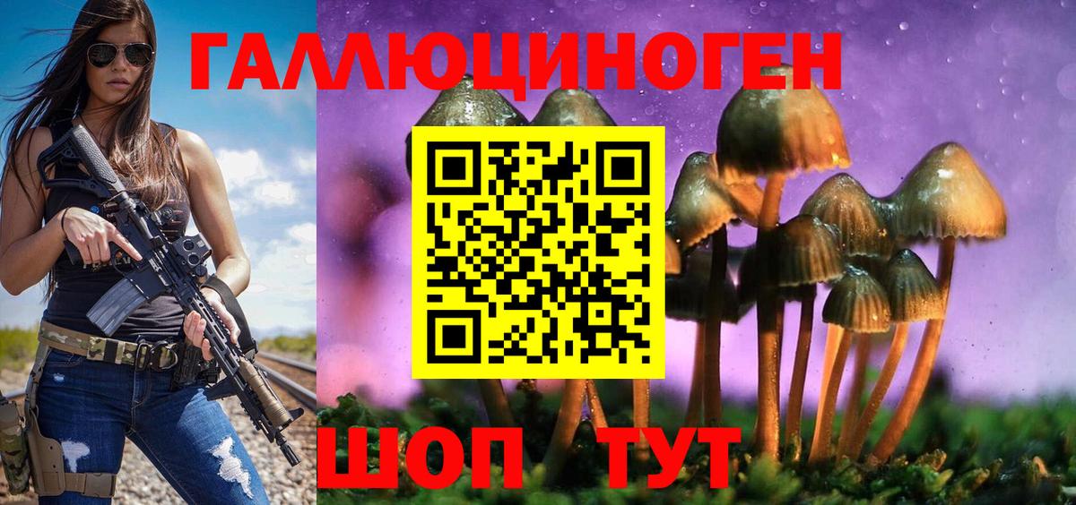 Галлюциногенные грибы прущие грибы Гудермес