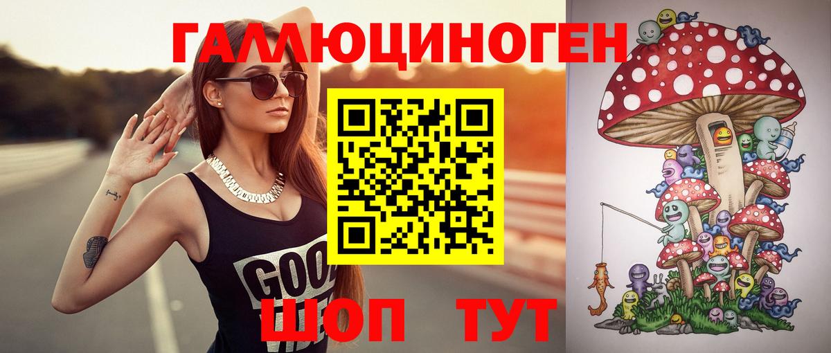 Галлюциногенные грибы прущие грибы  Гудермес 