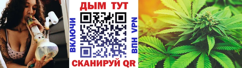 Шишки марихуана сатива  где продают наркотики  Гудермес 