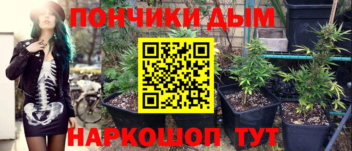 Бошки Шишки семена  Марихуана THC 21%  Гудермес 